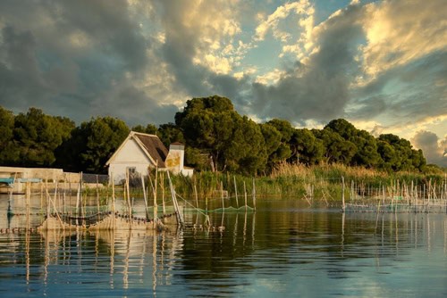 Parc naturel de l'Albufera en Valence, Espagne
